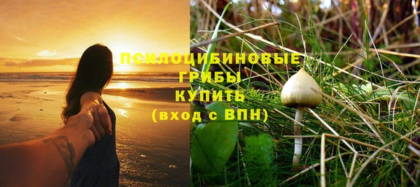 кокс Абаза