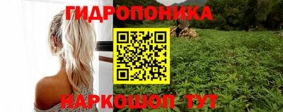 шишки Чапаевск