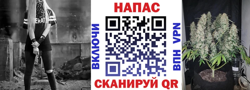 как найти   Новочебоксарск  blacksprut ссылка  Шишки марихуана план 
